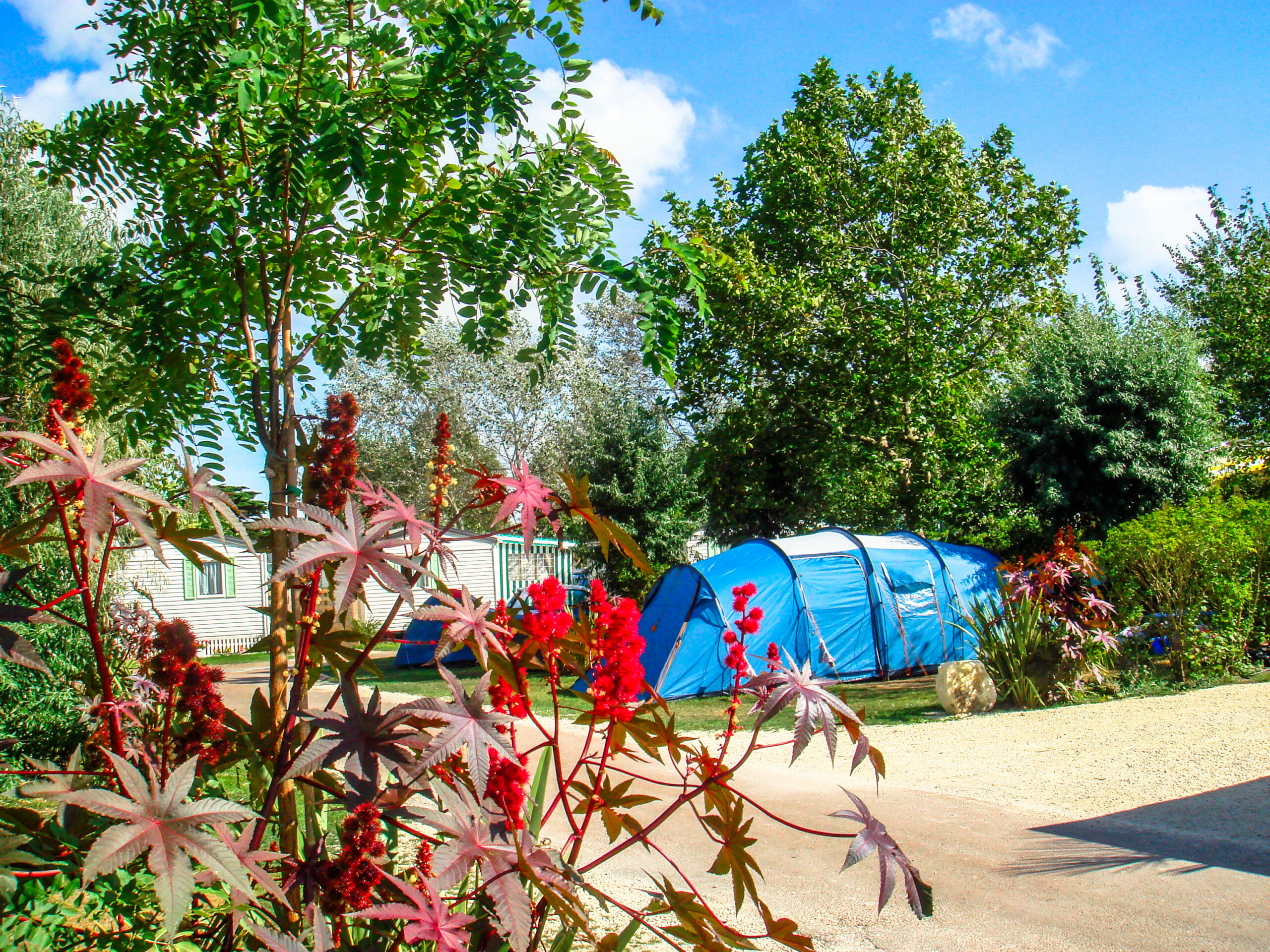emplacement camping charente maritime